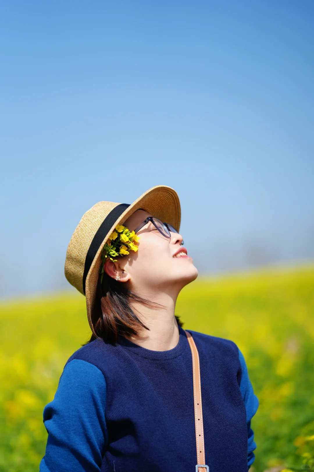 真的可以称之为花“海”的一组油菜花照片
