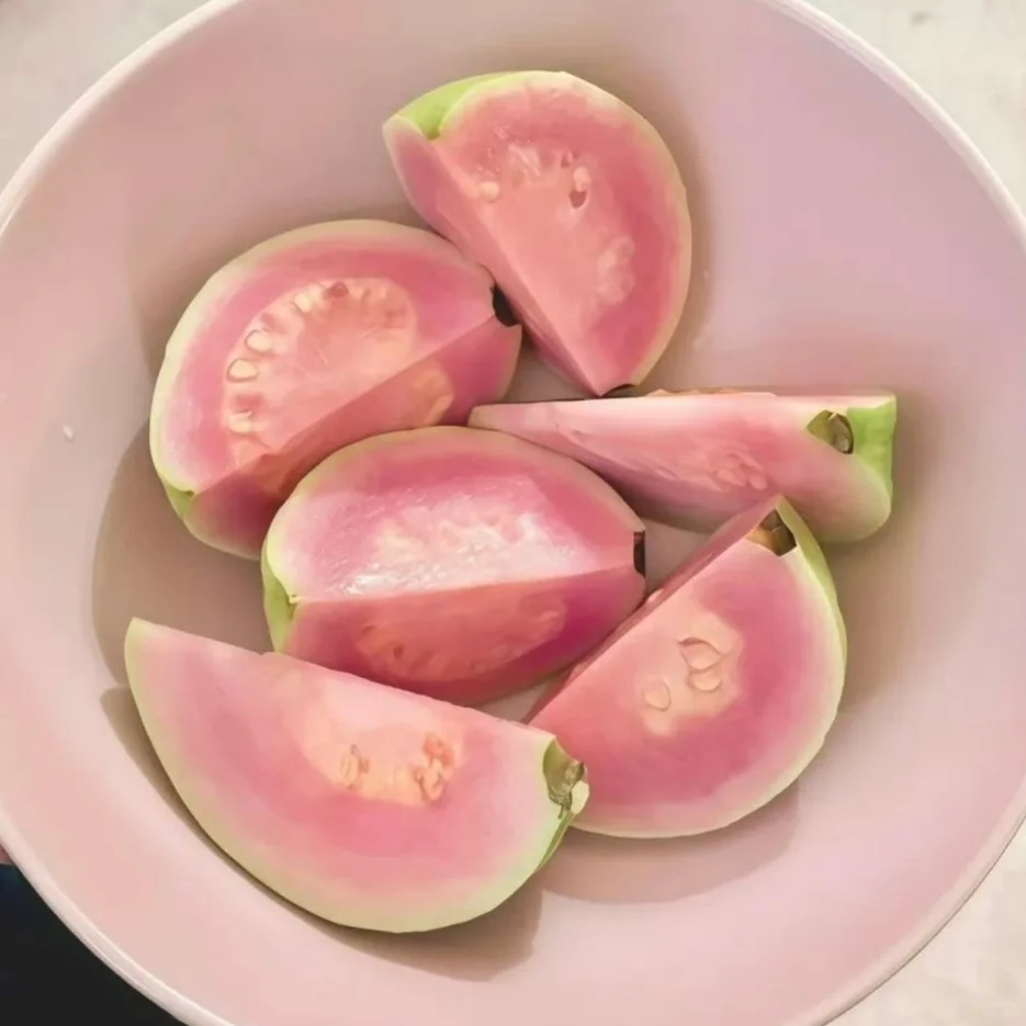 审美积累｜粉绿色｜壁纸头像背景图分享13