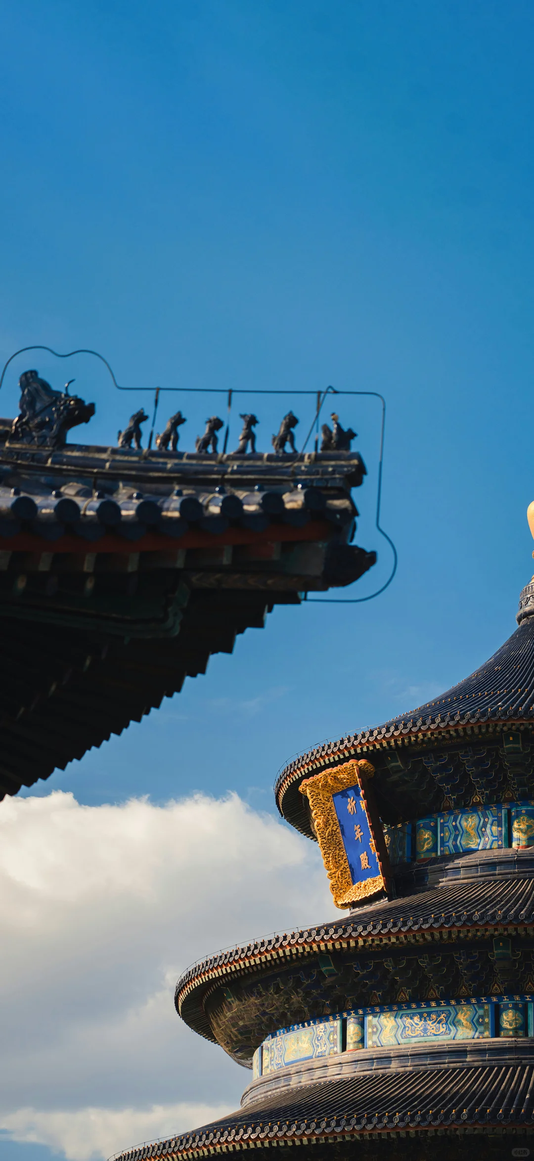 九层景深，把城市装进手机里 🌆✨