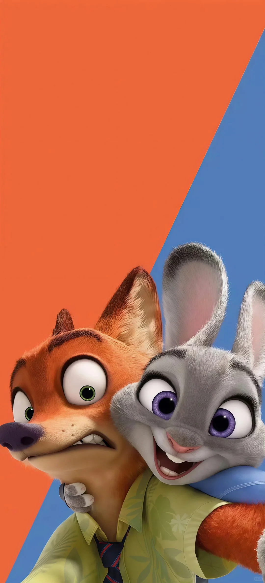 🐾 🦊 & 🐰 🥕
