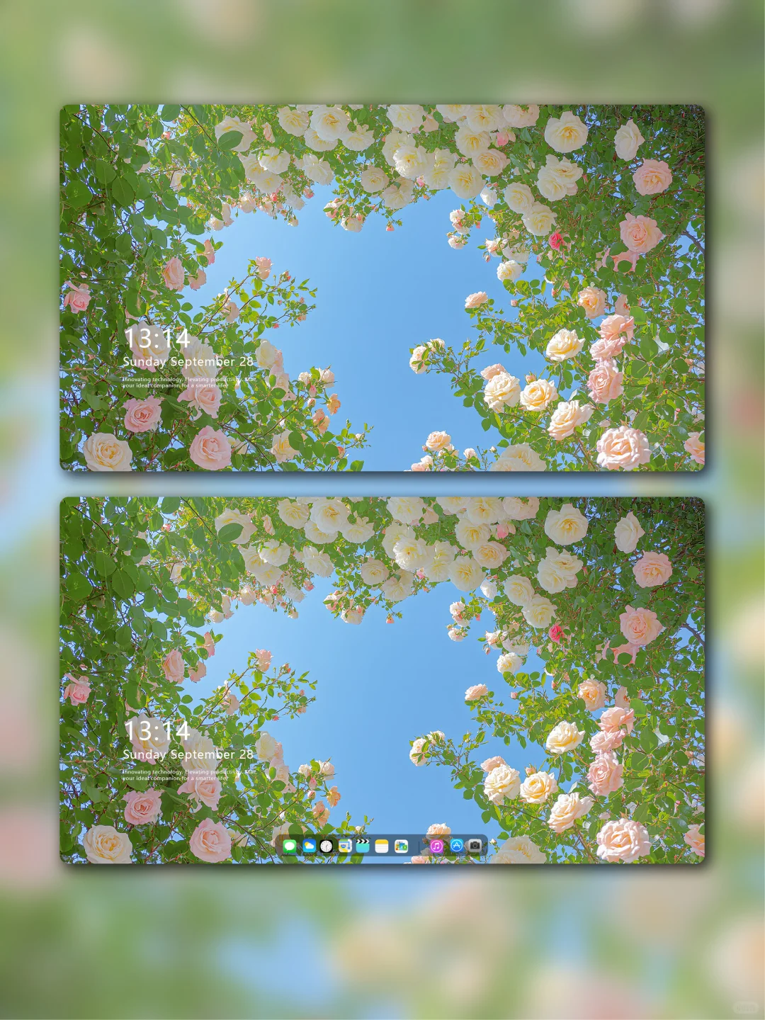 唯美治愈系花海壁纸，太喜欢啦！83