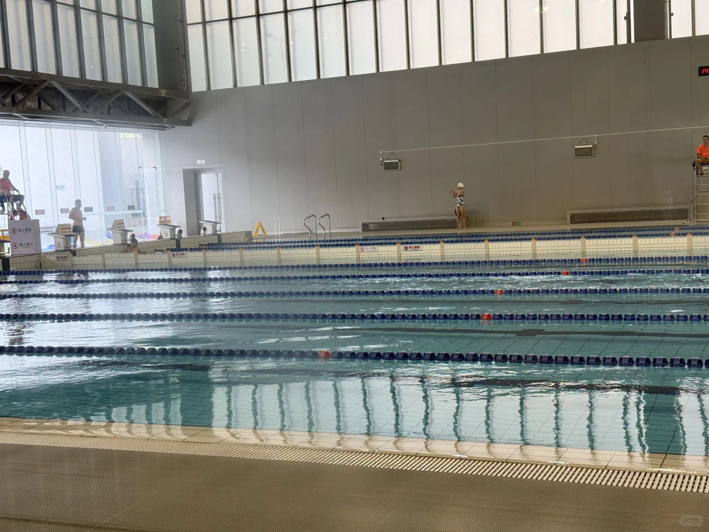 穿上新鱼皮游泳去～拍上了游泳人表情包