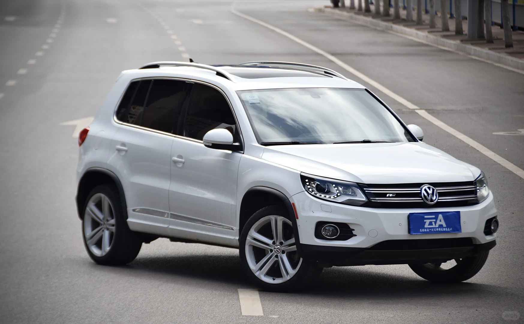 德国美少女—进口大众途威