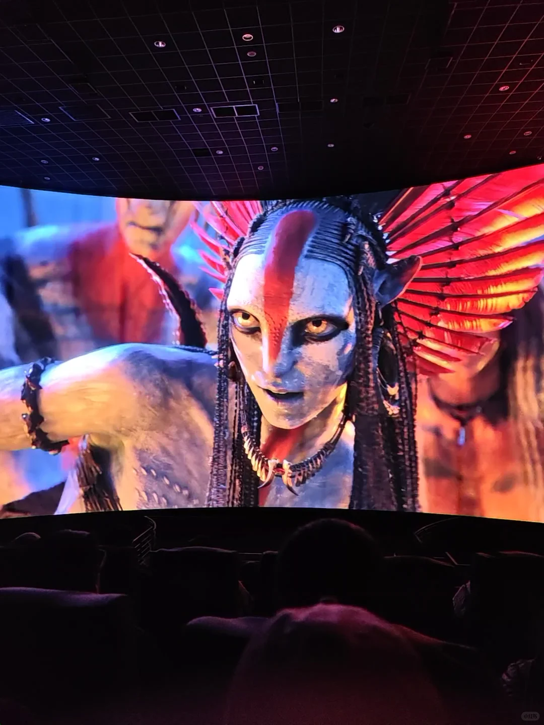 暗黑女首领危险又迷人（含剧透）