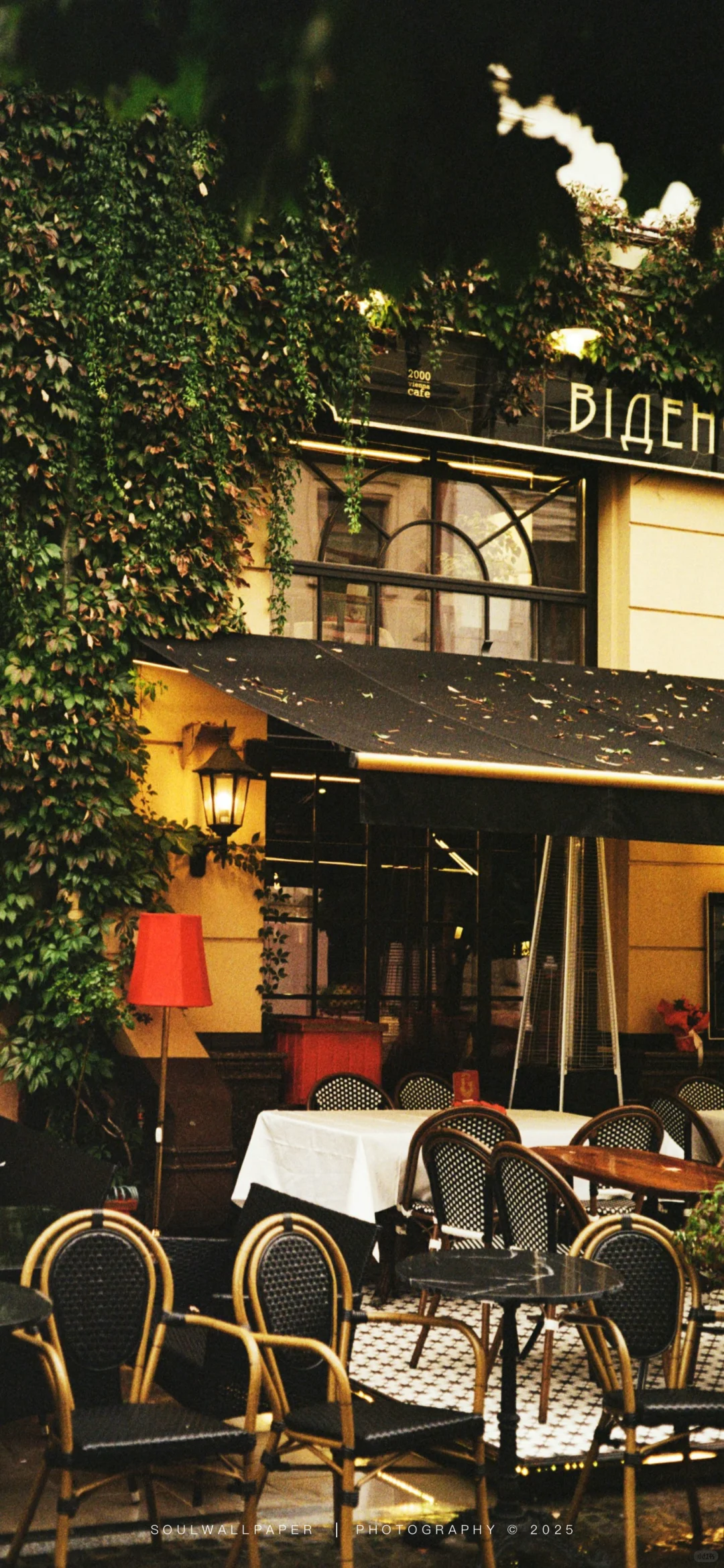 𝓐𝓷𝓼𝔀𝓮𝓻🪧丨壁纸赏鉴2501208