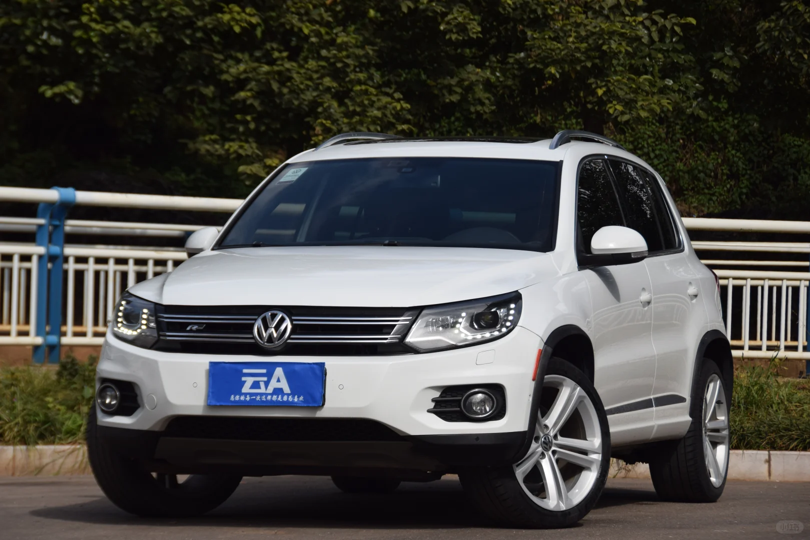 德国美少女—进口大众途威