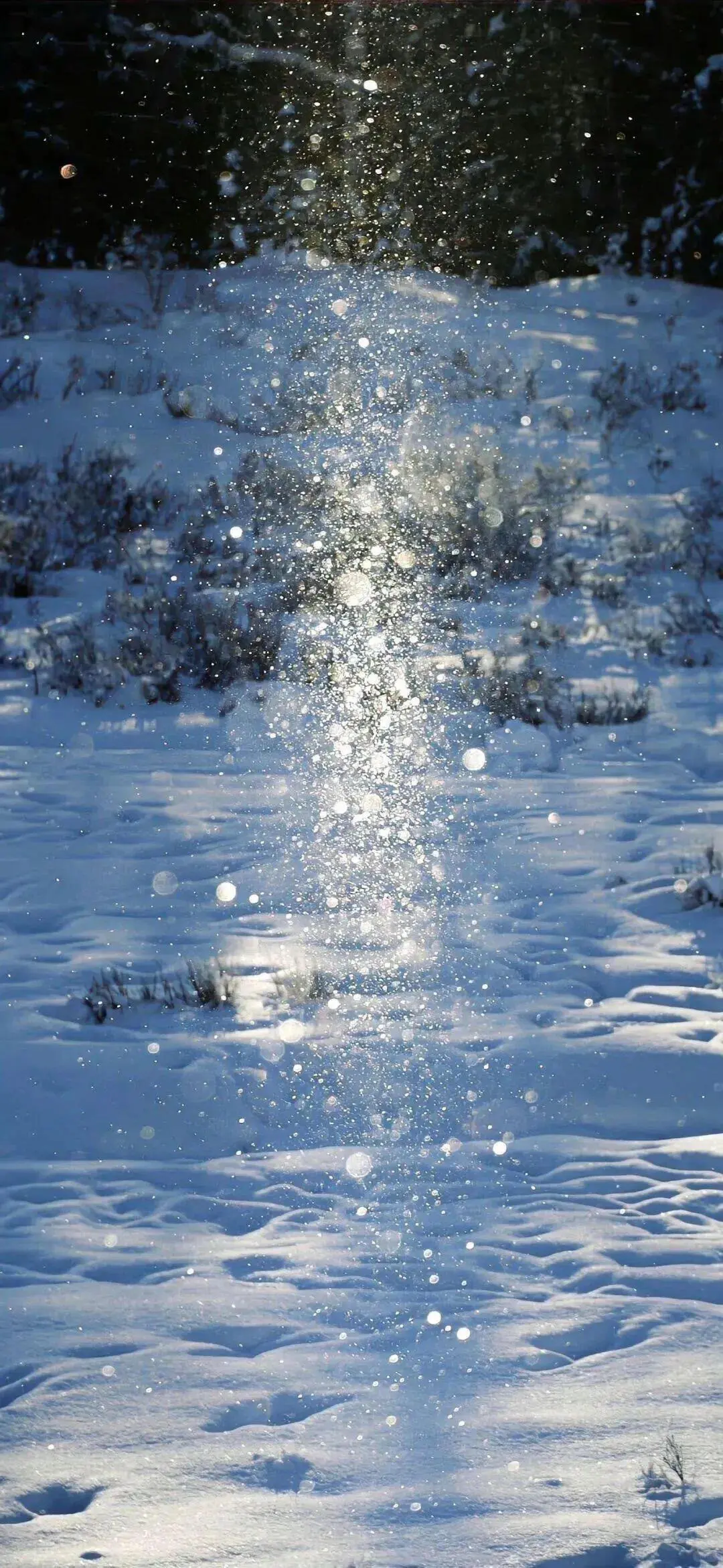 iPhone｜高清壁纸 好看的壁纸分享