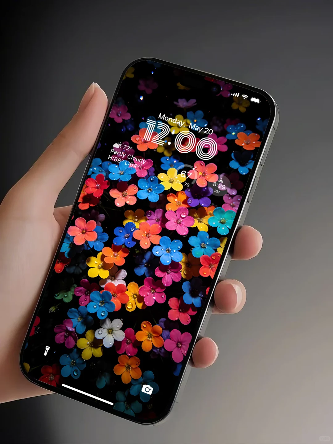 治愈系壁纸｜幸运五彩花