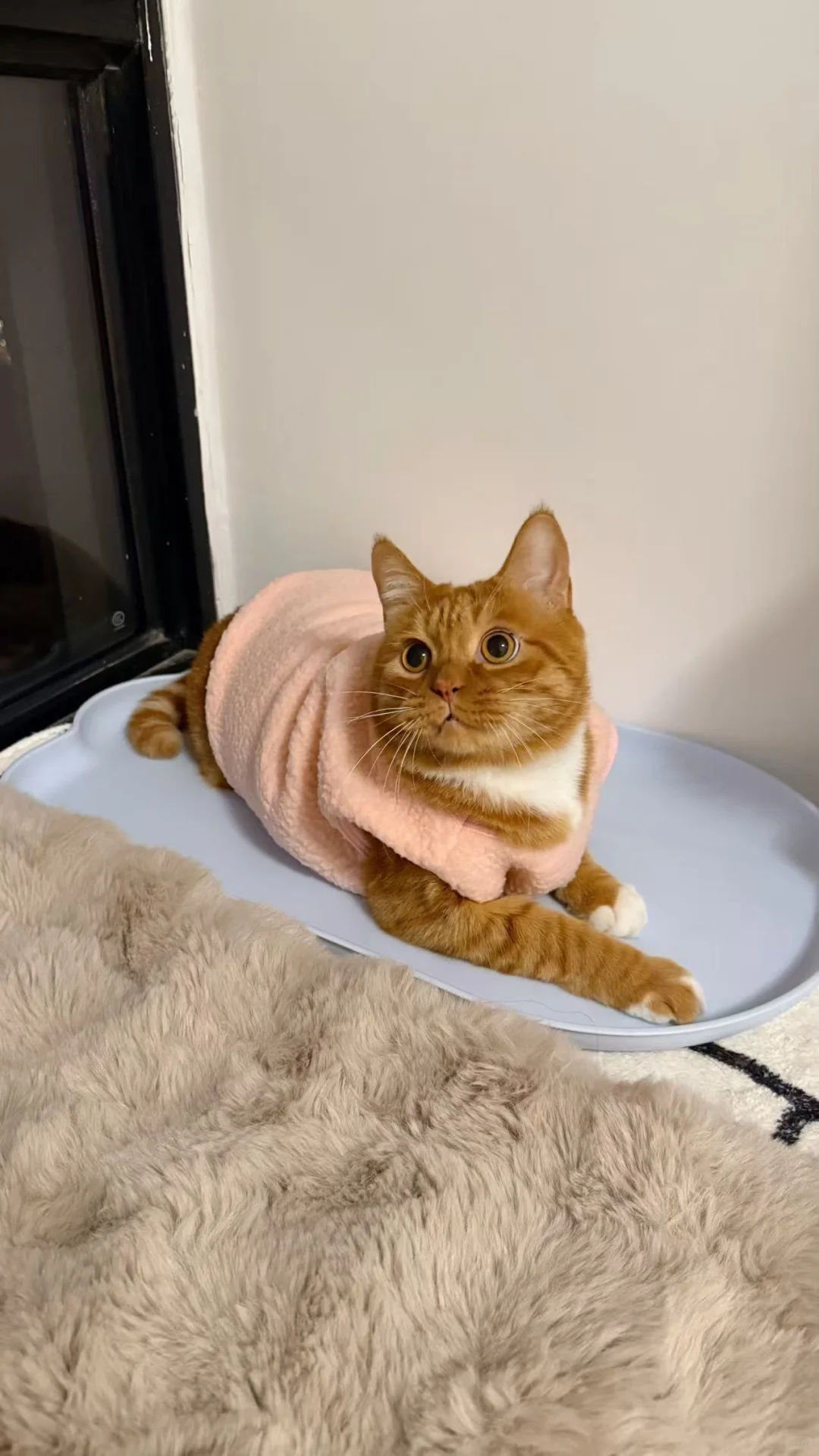 粉色娇嫩四郎我来穿了