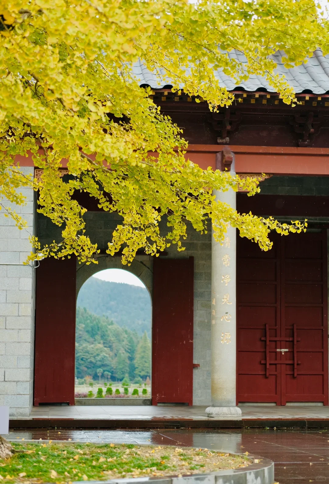 超级绝美的壁纸！