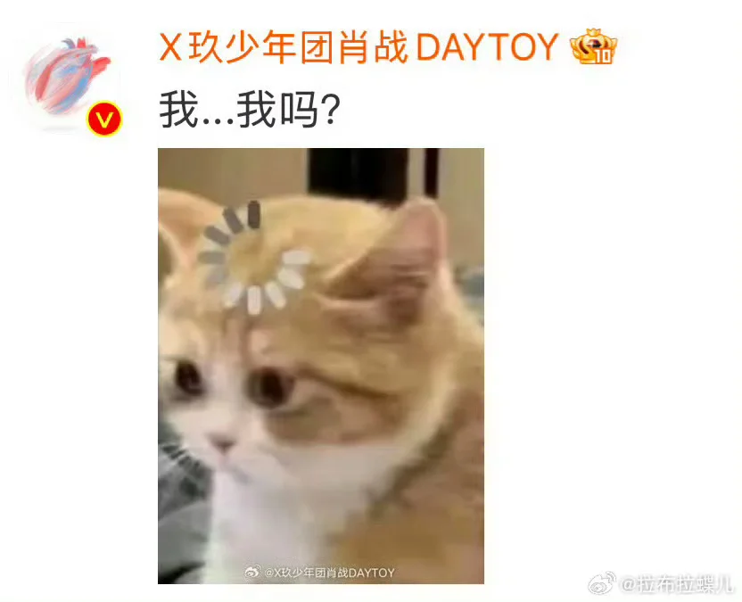 汇总一些肖战抽象猫猫狗狗表情包大户🤣
