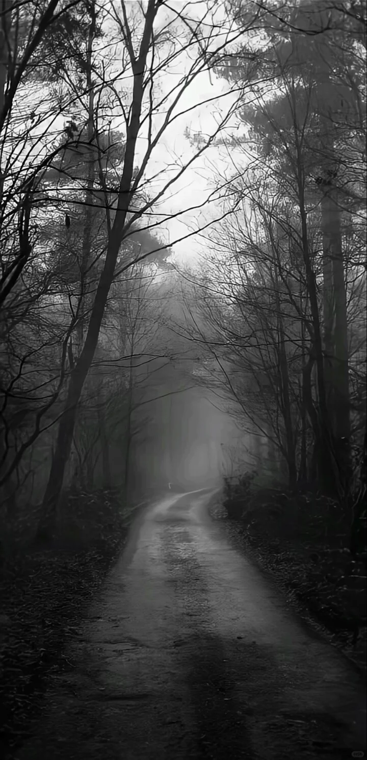 一眼钟情的背景图