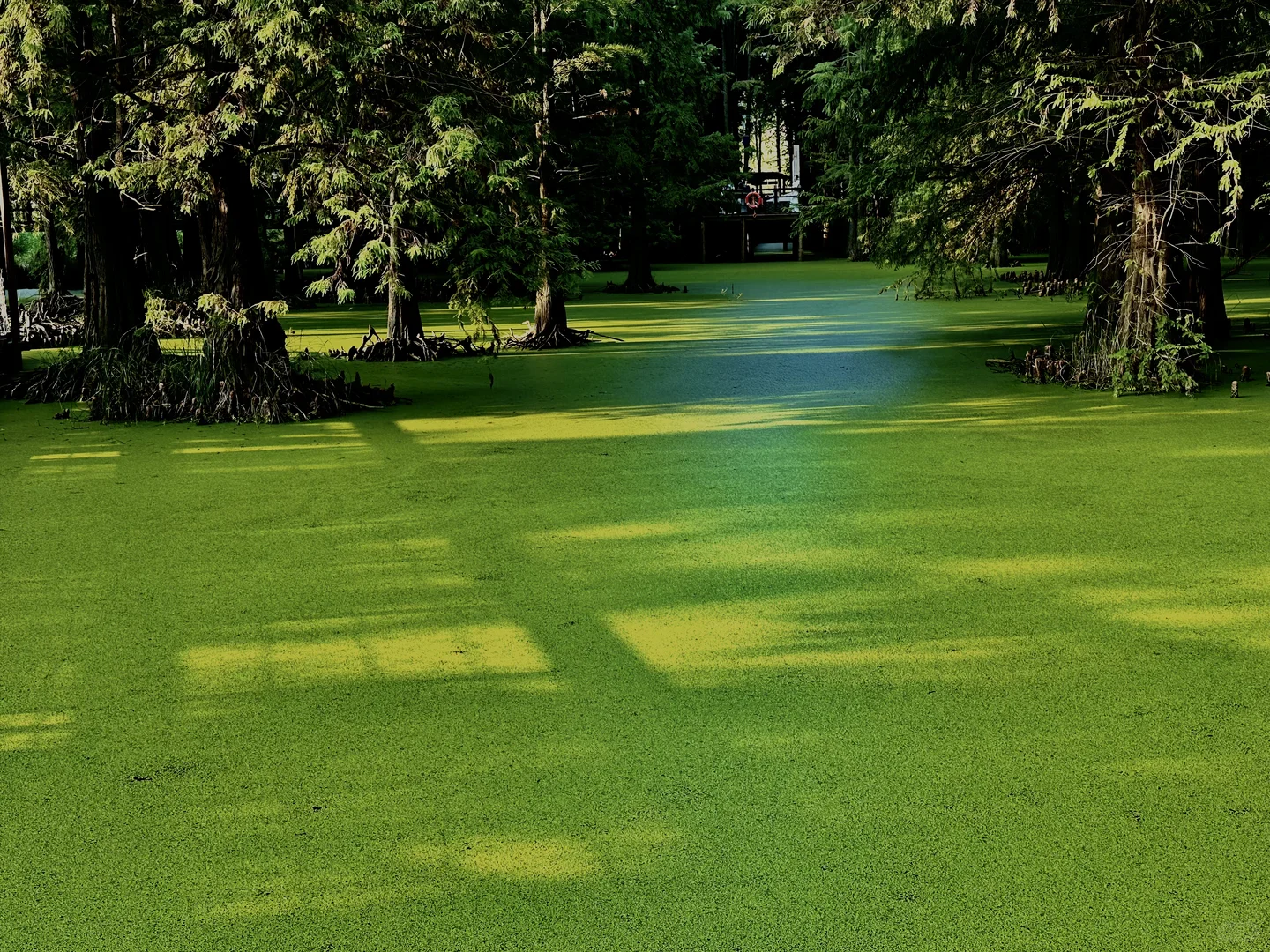 给平板换个壁纸，一不小心入坑了