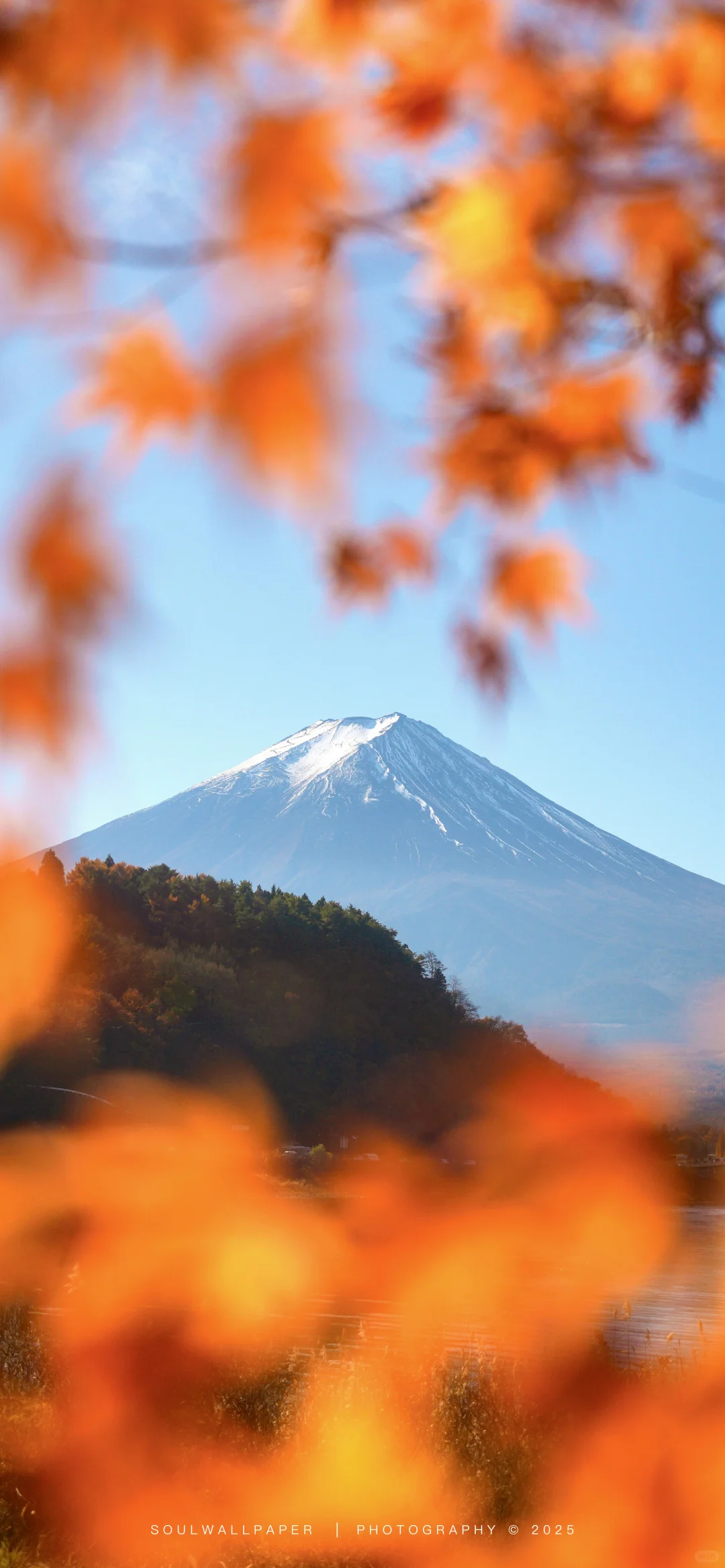 𝓐𝓷𝓼𝔀𝓮𝓻🪧丨壁纸赏鉴2501208