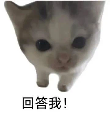 抽象但好用的聊天表情包