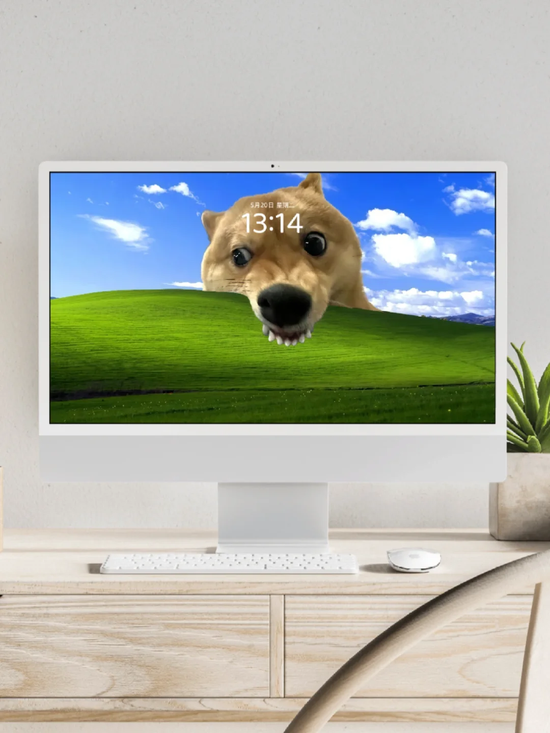 发疯壁纸‖堪比打工人