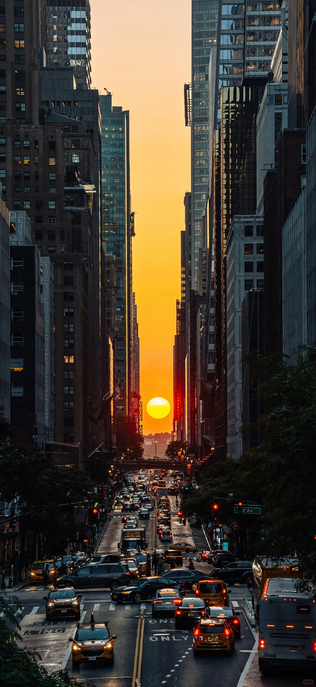 九层景深，把城市装进手机里 🌆✨