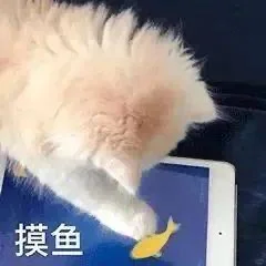 12.4实用表情包分享｜表情包分享