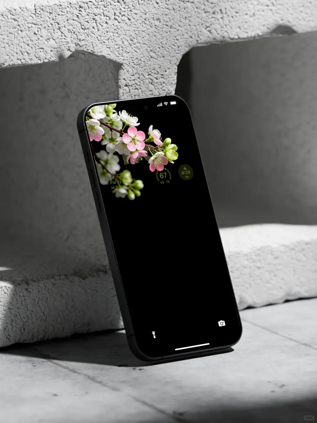 简约高级感｜一树花开～飘粉