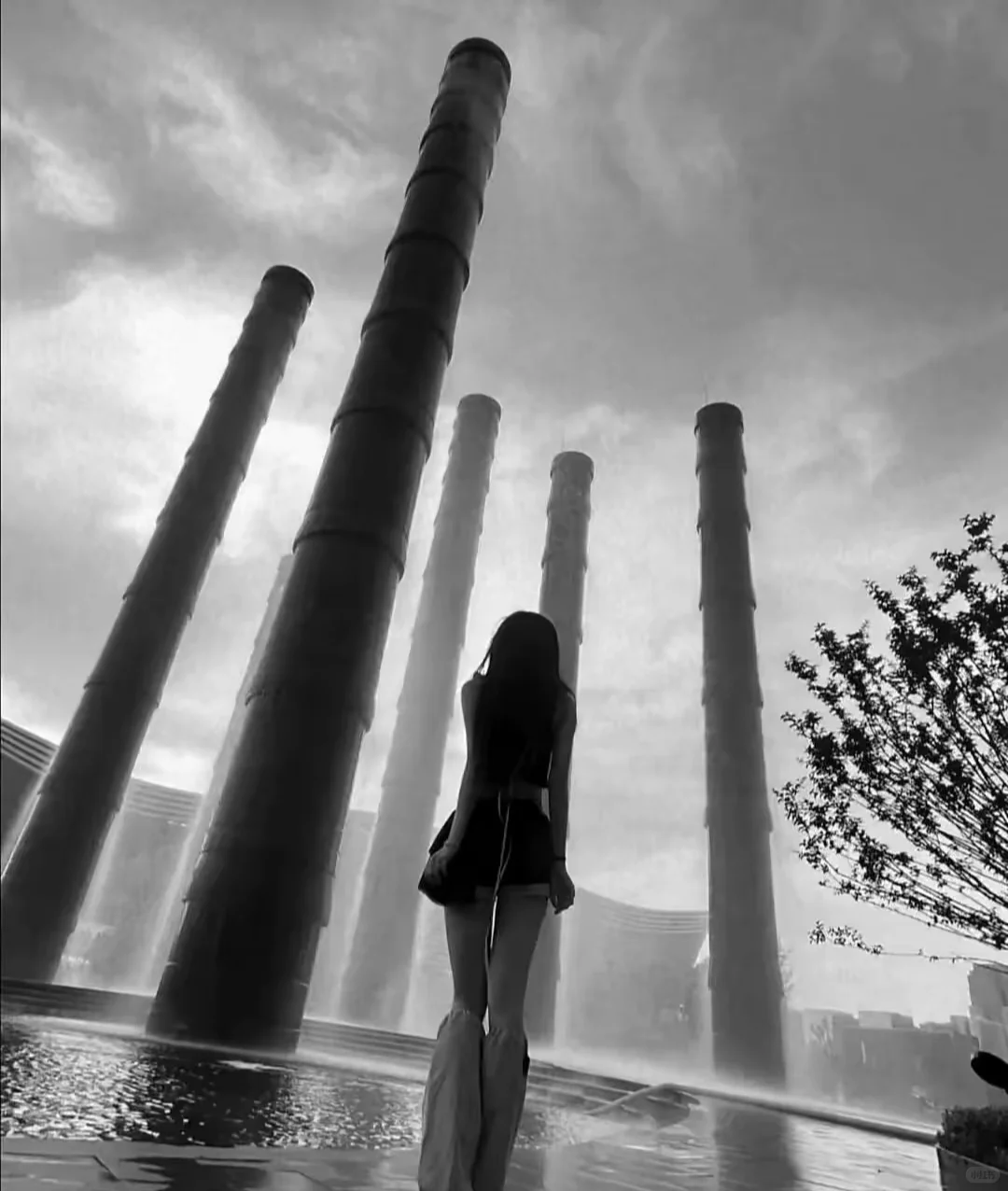 一眼钟情的背景图