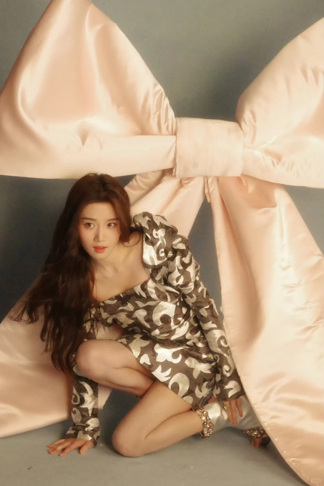 女神和她的茶杯犬炸毛小狗