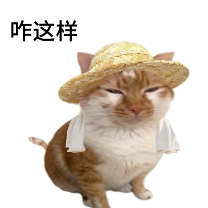 老实人专用表情包献给各位