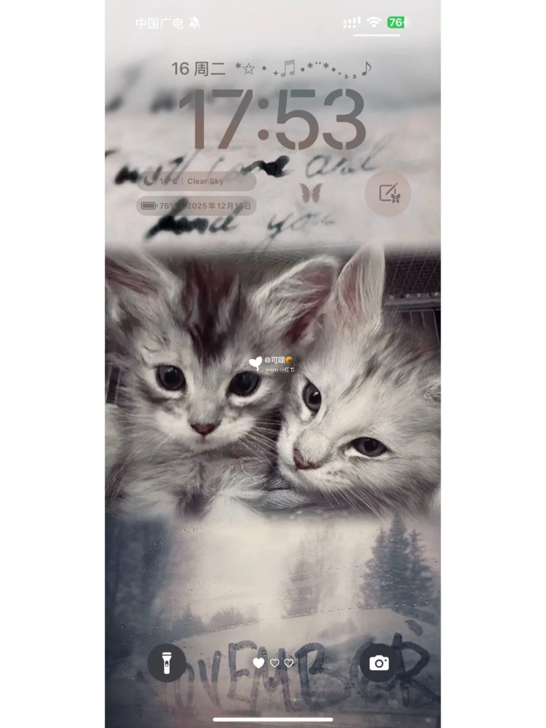 好萌一壁纸🐱៸៸᳐⦁⩊<៸៸᳐ ੭ﾞ🐾