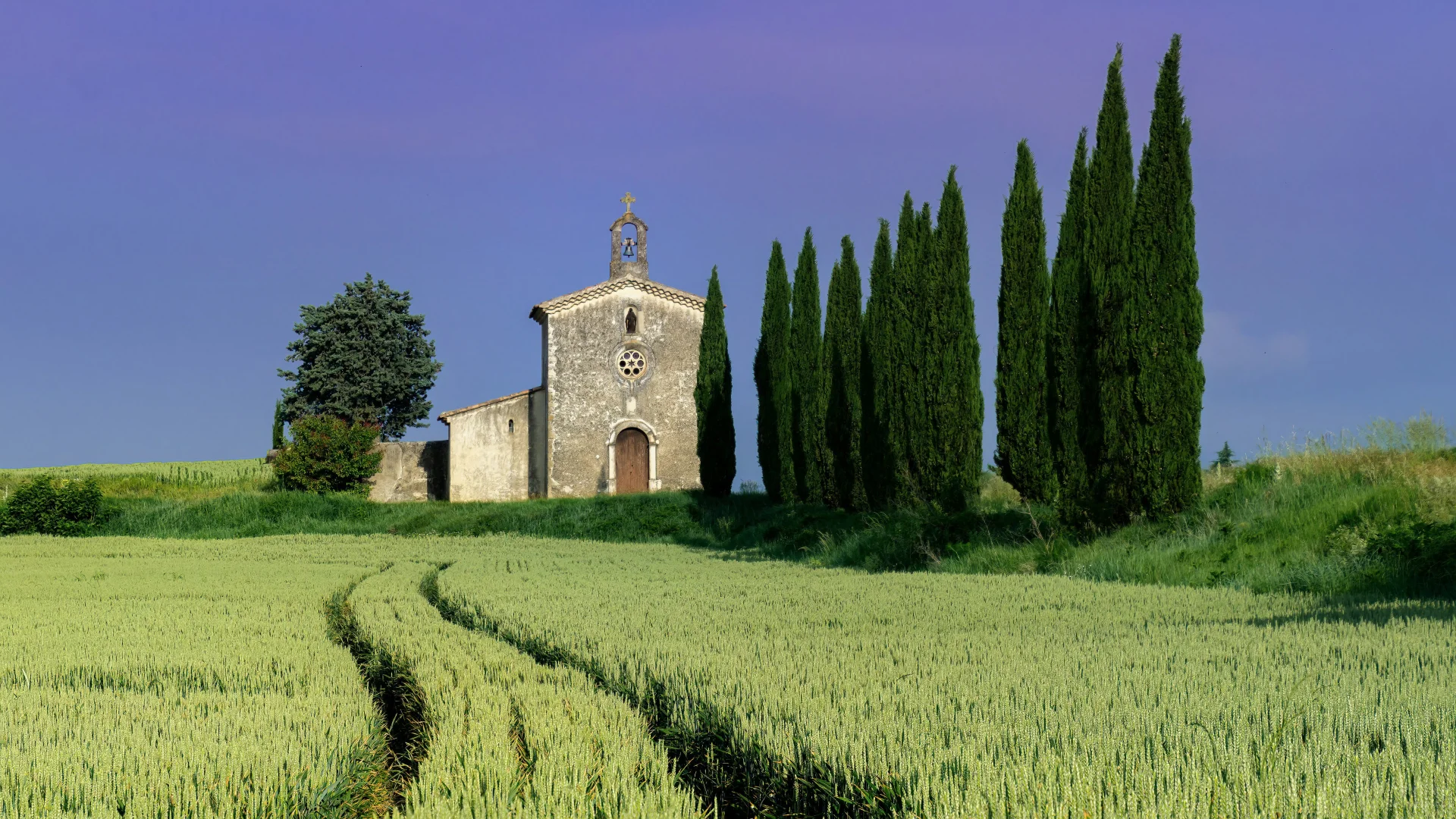 电脑ipad壁纸丨换个绿色壁纸吧