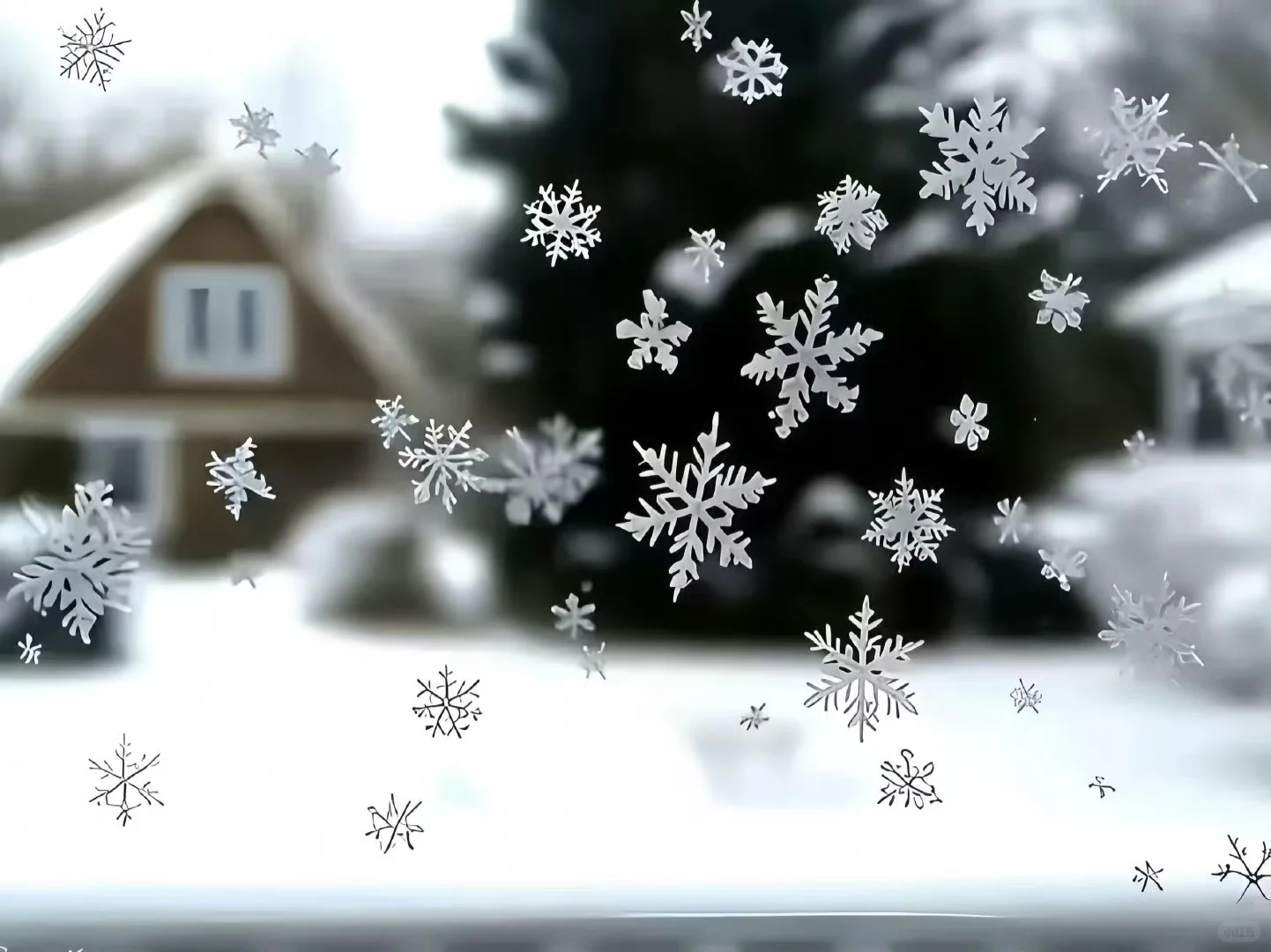 今天的雪，可以留在玻璃上❄️