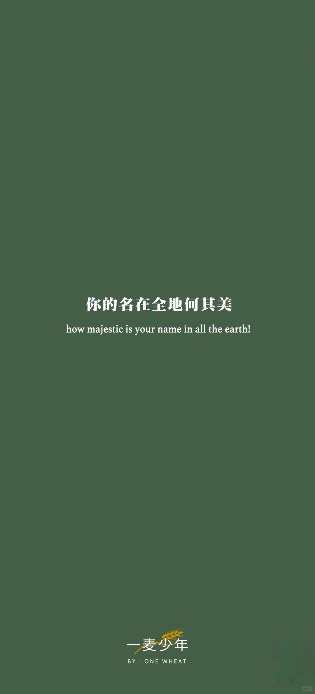 ✨壁纸丨万事都互相效力，叫爱他的人得益处