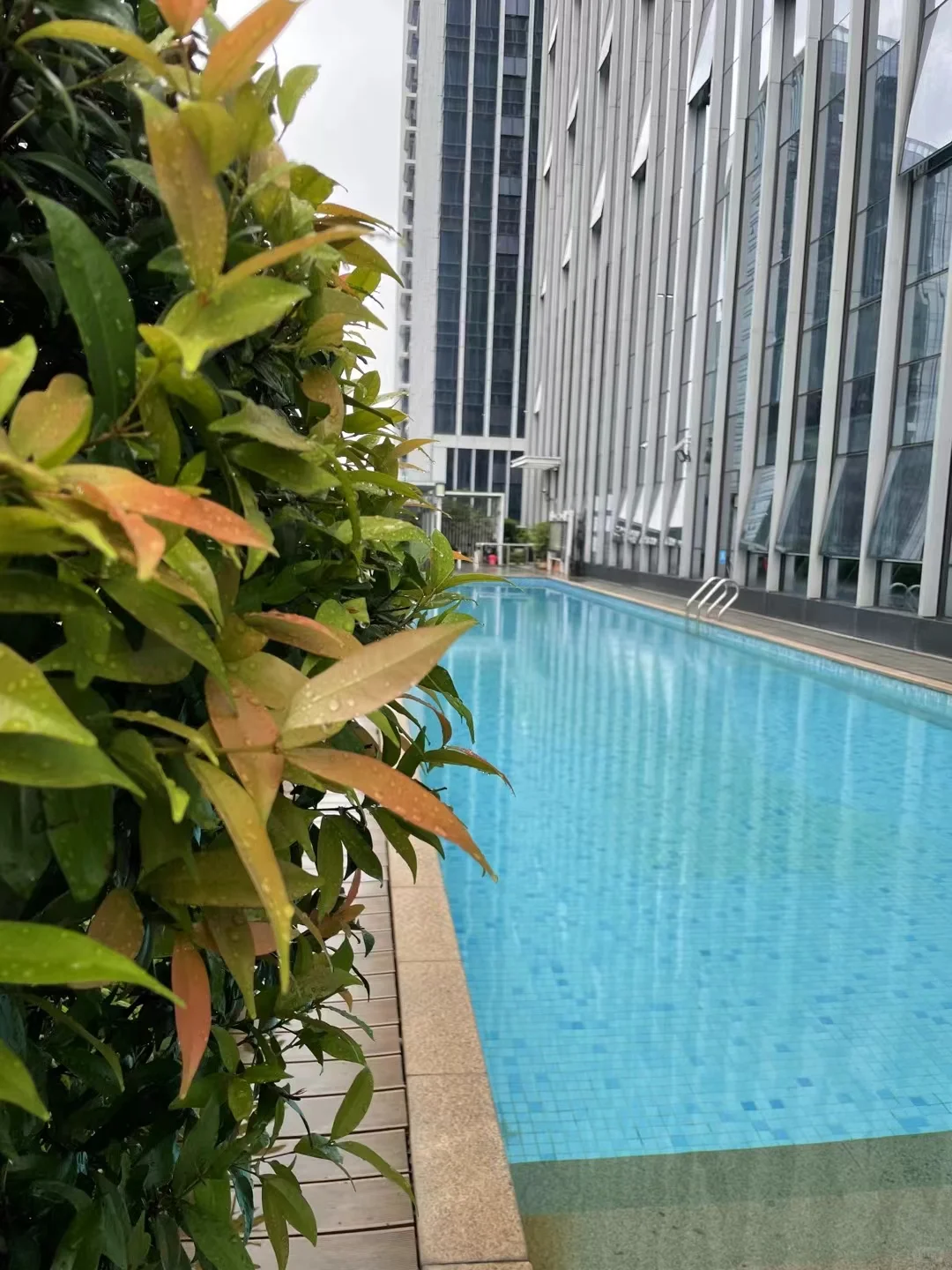 喜欢游泳的女孩子有福啦