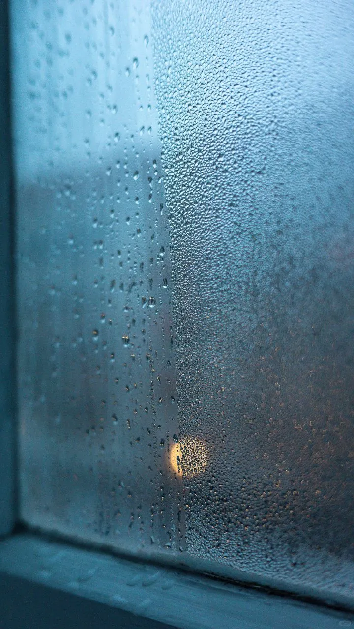 𝐒𝐡𝐚𝐫𝐞｜iPhone壁纸272期