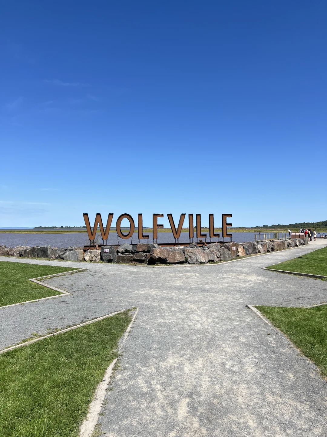 夏天要溜走啦！再不摘蓝莓分分钟蔫成表情包