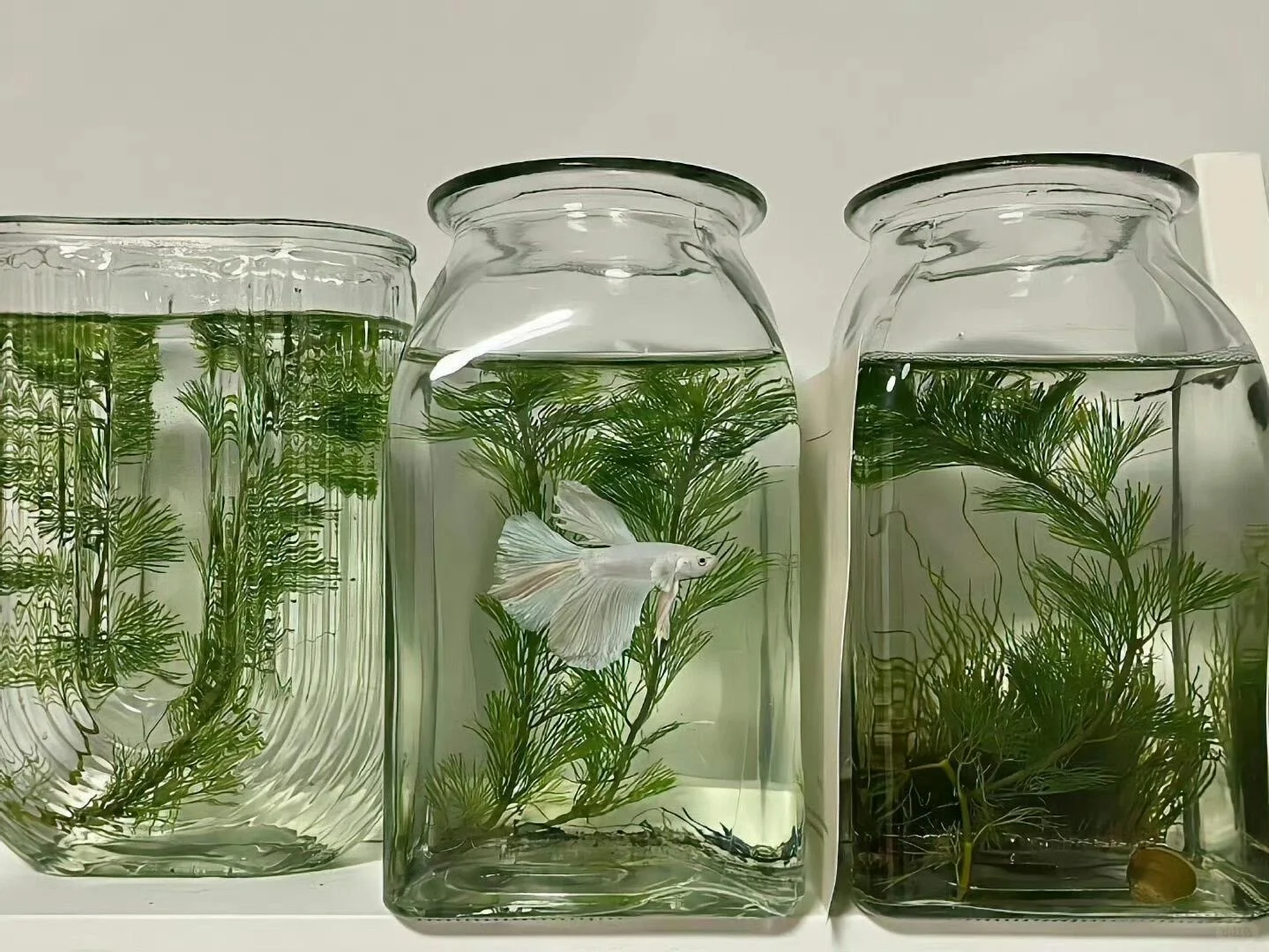 ipad平板壁纸 | 最近收藏的iPad电脑壁纸