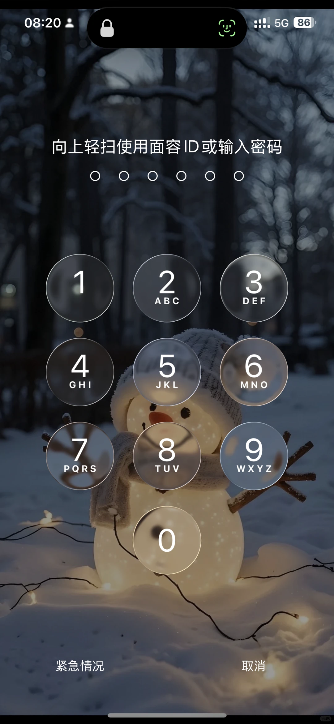 🩵丛林雪人氛围感手机📱壁纸｜可爱又治愈🤍
