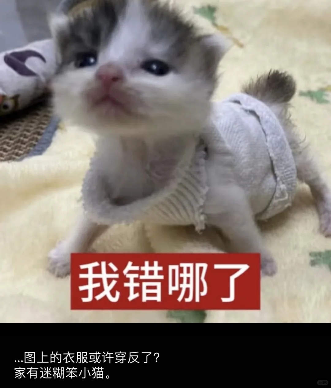 人夫黎深会把老婆发的表情包存在相册