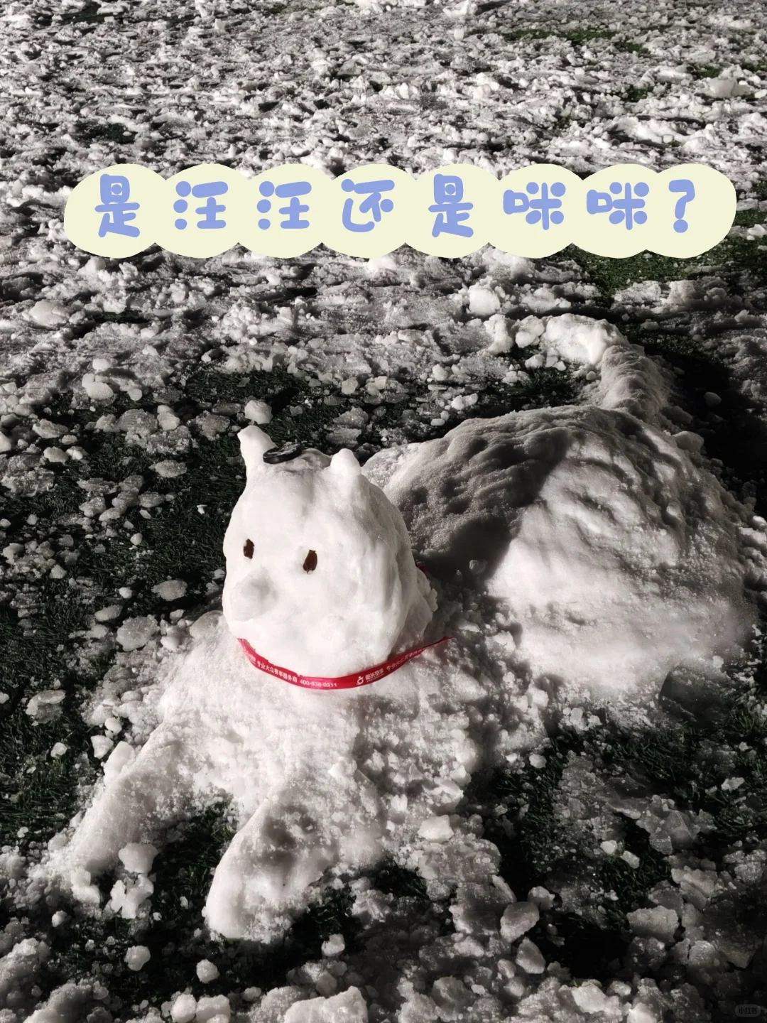 感觉雪天游泳别有雅趣