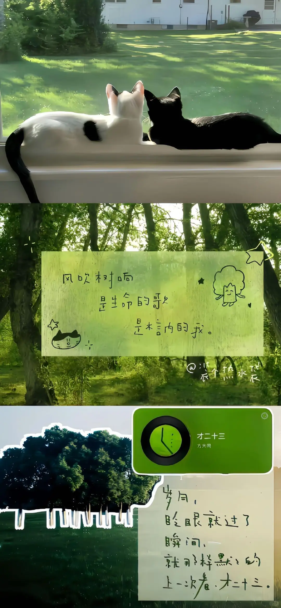 𝐬𝐡𝐚𝐫𝐞 | 可爱拼贴手机壁纸ᐝ