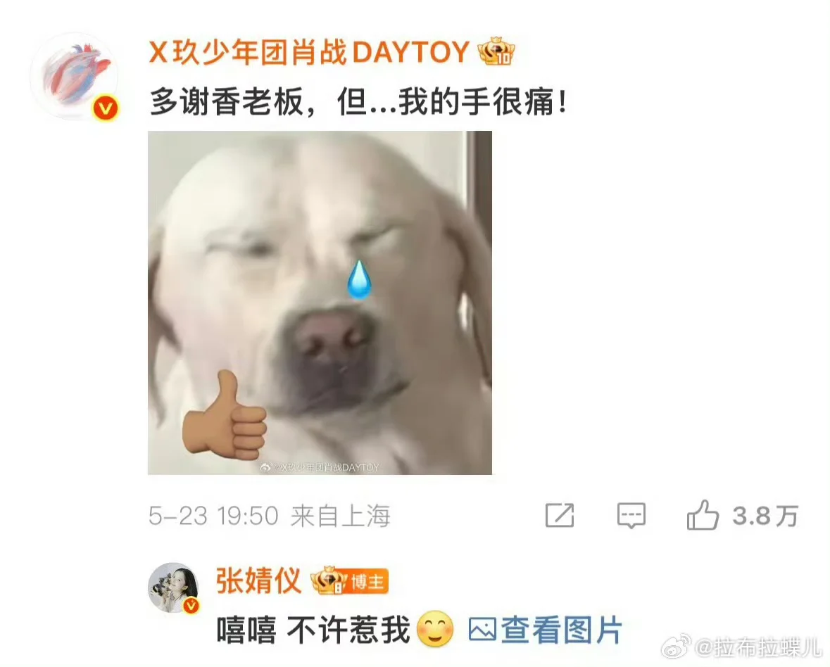 汇总一些肖战抽象猫猫狗狗表情包大户🤣