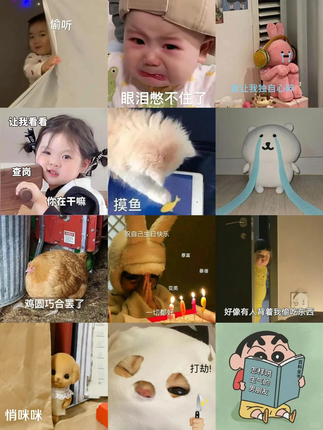 12.4实用表情包分享｜表情包分享