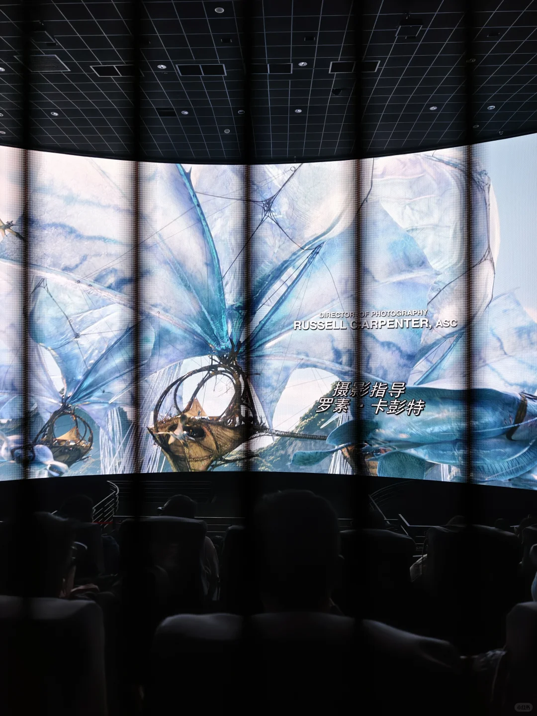 暗黑女首领危险又迷人（含剧透）