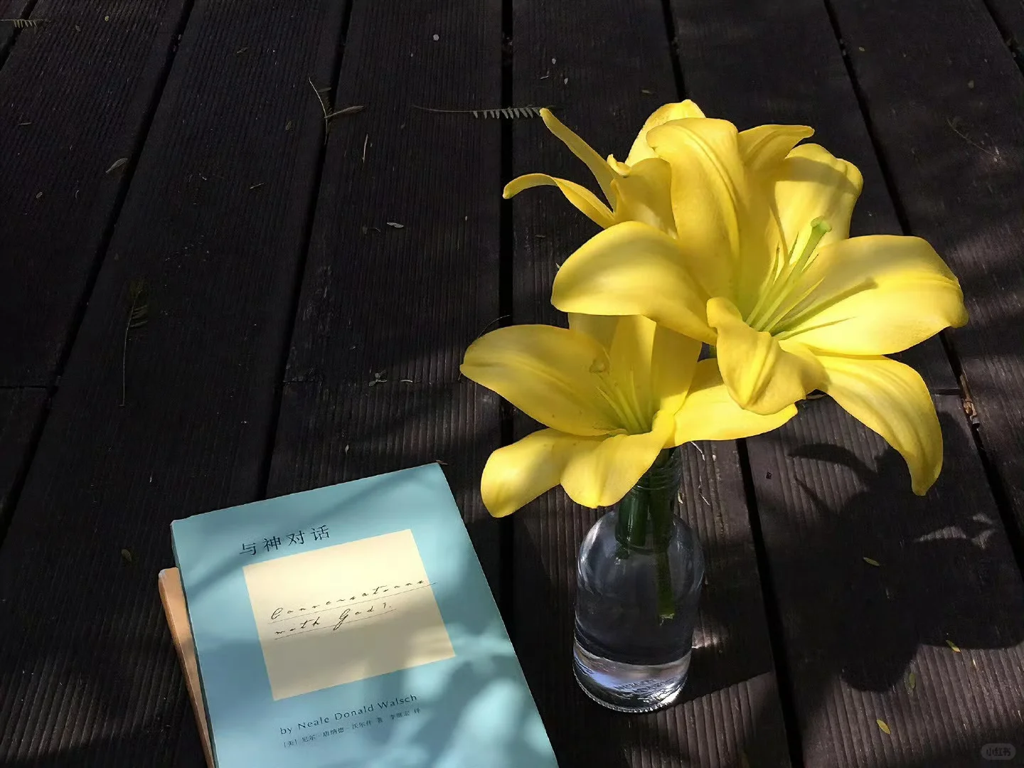 是好看的｜iPad/电脑壁纸呀