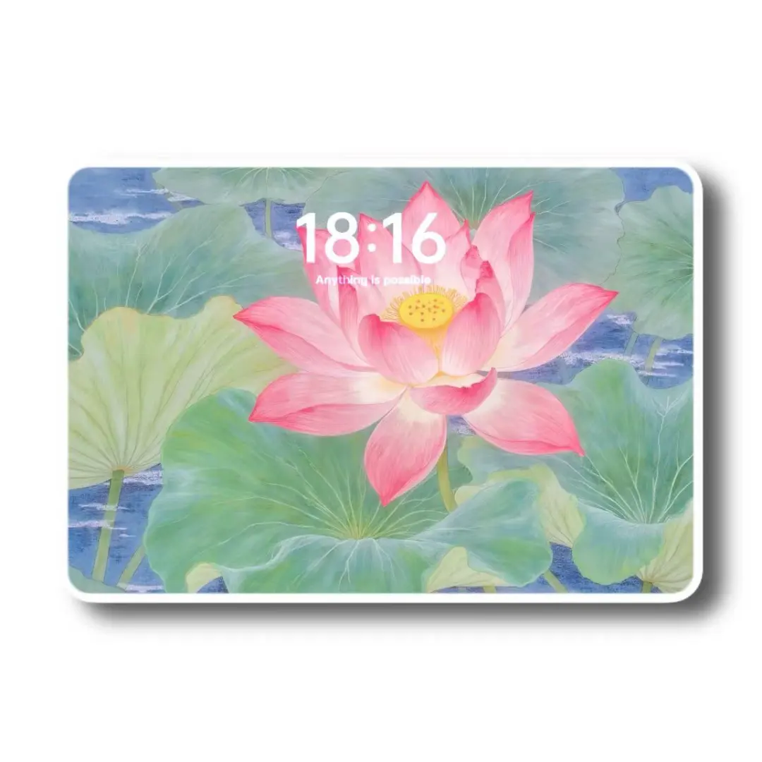 荷叶生绿意，荷花送清风🌸好运莲莲壁纸