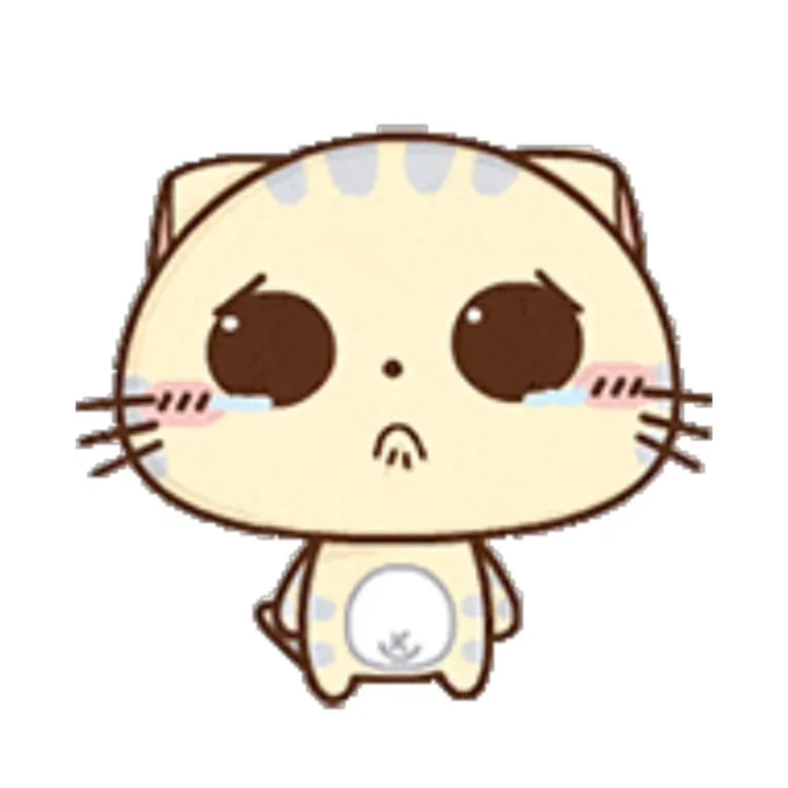 CC猫表情包｜这一路的麻辣鲜香只有自己知道