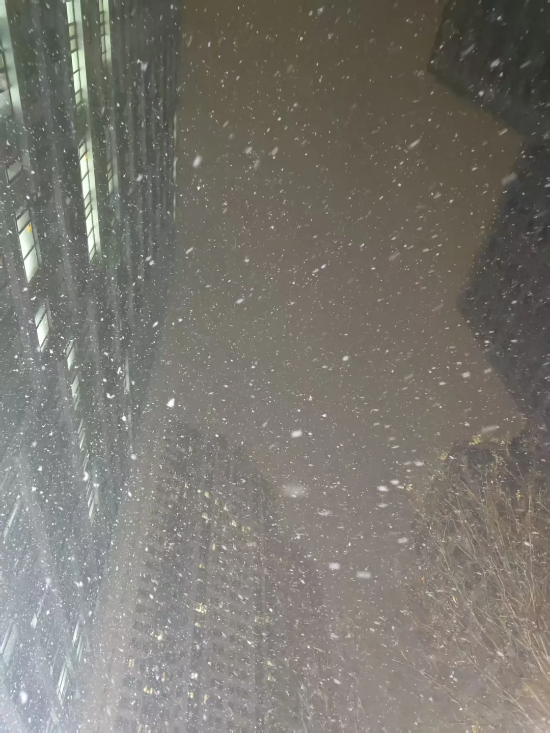 感觉雪天游泳别有雅趣