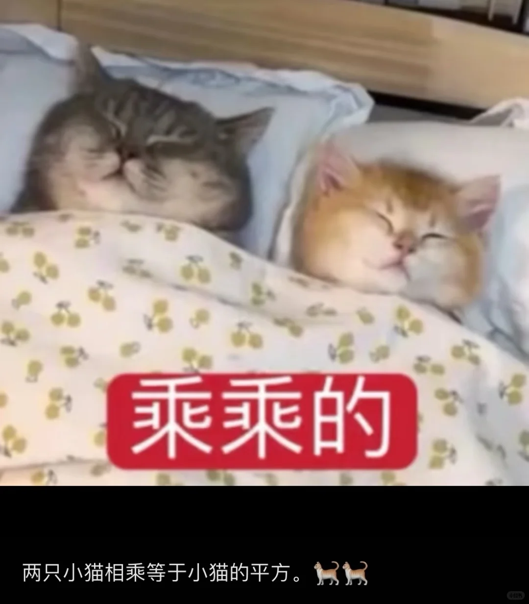 人夫黎深会把老婆发的表情包存在相册