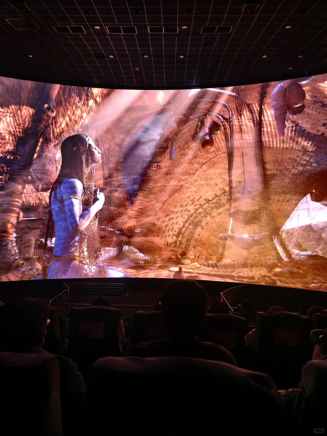 暗黑女首领危险又迷人（含剧透）