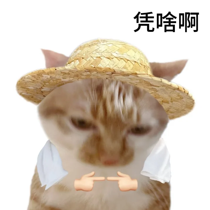 老实人专用表情包献给各位