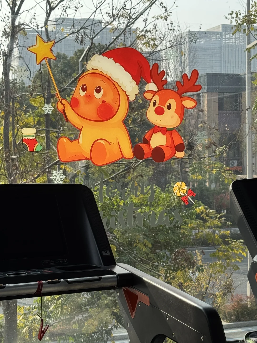 力量训练对于一个女人来说太重要了