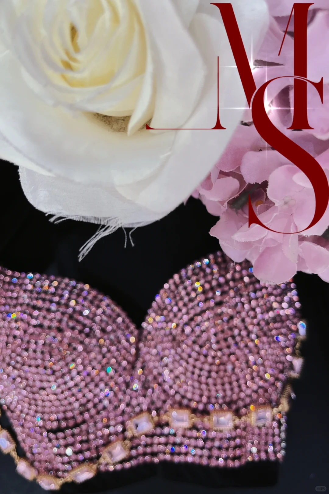 果然还得是我那又粉又闪的鱼骨胸衣（九）